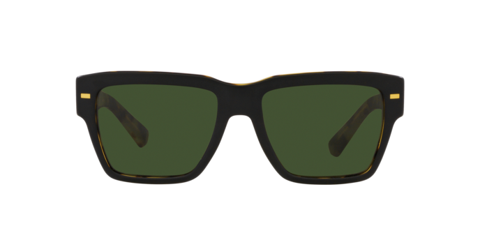 Dolce & Gabbana Sunglasses DG4431 340471