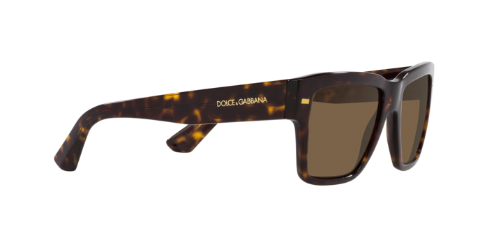 Dolce & Gabbana Sunglasses DG4431 502/73