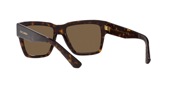 Dolce & Gabbana Sunglasses DG4431 502/73