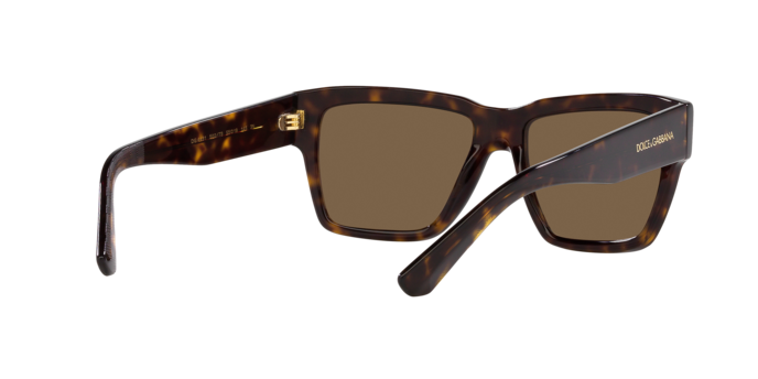 Dolce & Gabbana Sunglasses DG4431 502/73