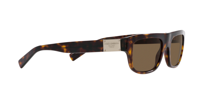 Dolce & Gabbana Sunglasses DG4432 502/73