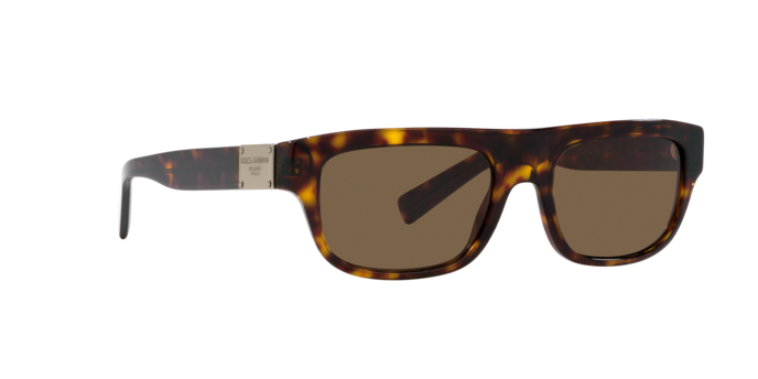 Dolce & Gabbana Sunglasses DG4432 502/73