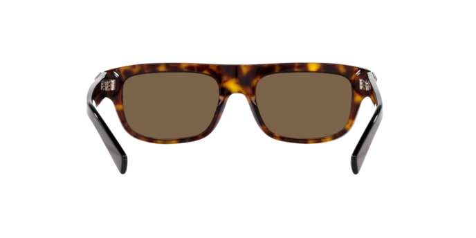 Dolce & Gabbana Sunglasses DG4432 502/73