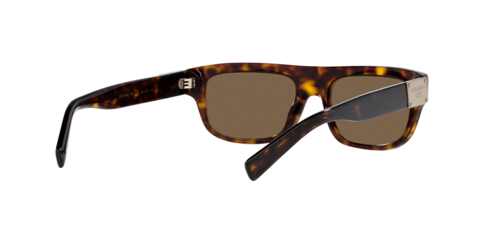 Dolce & Gabbana Sunglasses DG4432 502/73