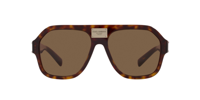 Dolce & Gabbana Sunglasses DG4433 502/73