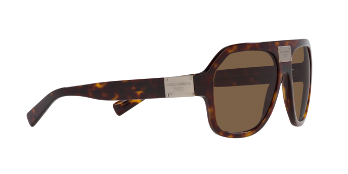 Dolce & Gabbana Sunglasses DG4433 502/73