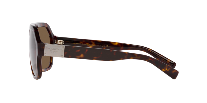 Dolce & Gabbana Sunglasses DG4433 502/73