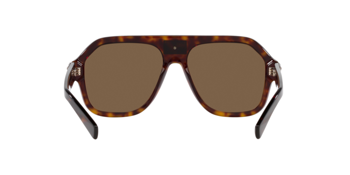 Dolce & Gabbana Sunglasses DG4433 502/73