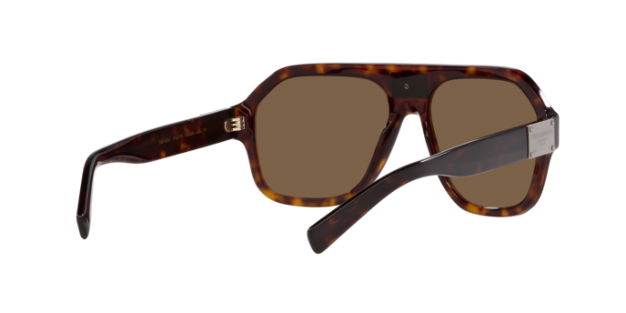 Dolce & Gabbana Sunglasses DG4433 502/73