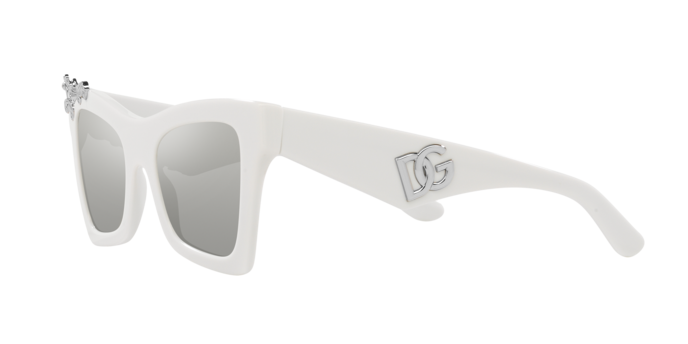 Dolce & Gabbana Sunglasses DG4434 33128V