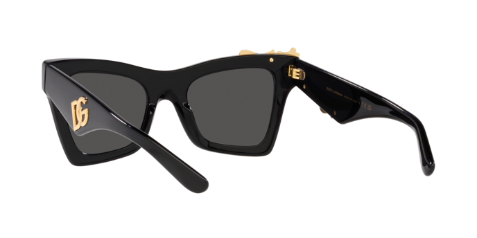 Dolce & Gabbana Sunglasses DG4434 501/87