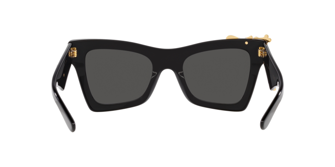 Dolce & Gabbana Sunglasses DG4434 501/87