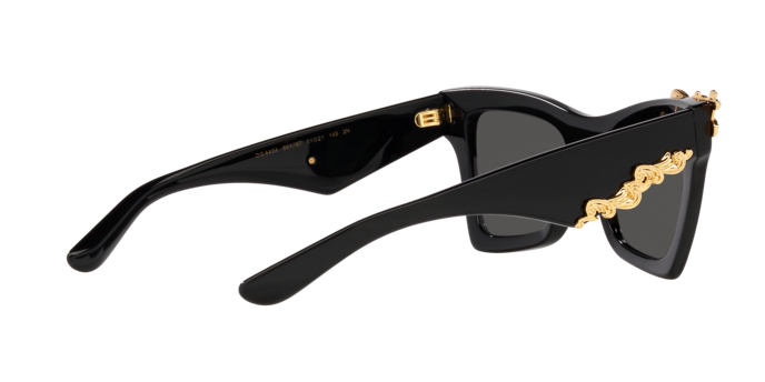 Dolce & Gabbana Sunglasses DG4434 501/87