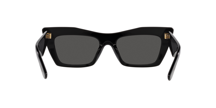 Dolce & Gabbana Sunglasses DG4435 501/87