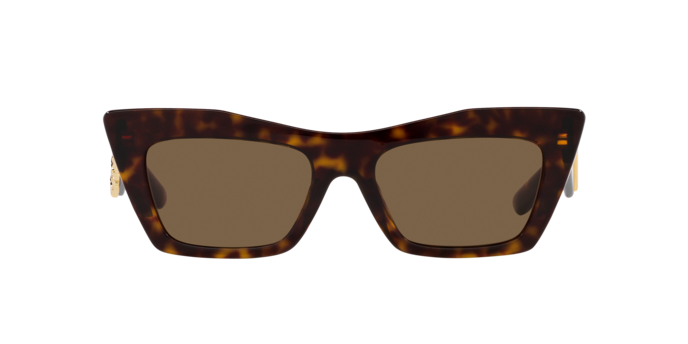 Dolce & Gabbana Sunglasses DG4435 502/73