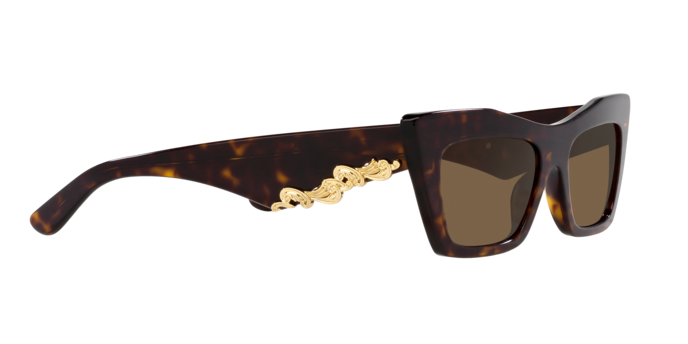Dolce & Gabbana Sunglasses DG4435 502/73