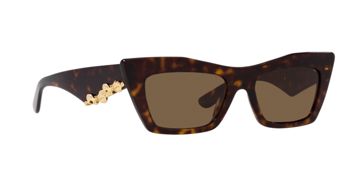 Dolce & Gabbana Sunglasses DG4435 502/73