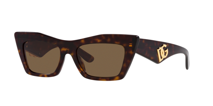 Dolce & Gabbana Sunglasses DG4435 502/73