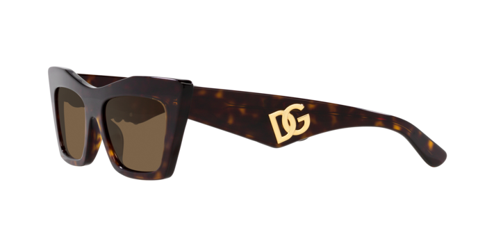 Dolce & Gabbana Sunglasses DG4435 502/73