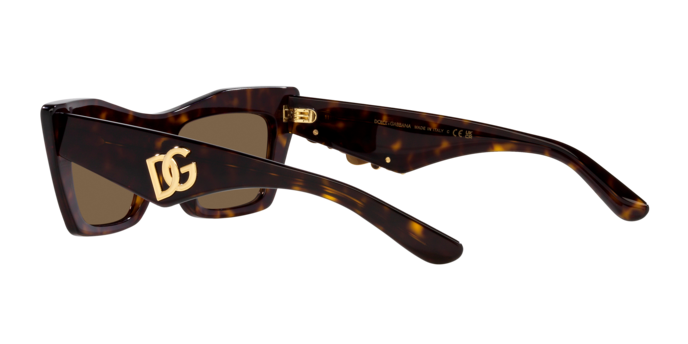 Dolce & Gabbana Sunglasses DG4435 502/73