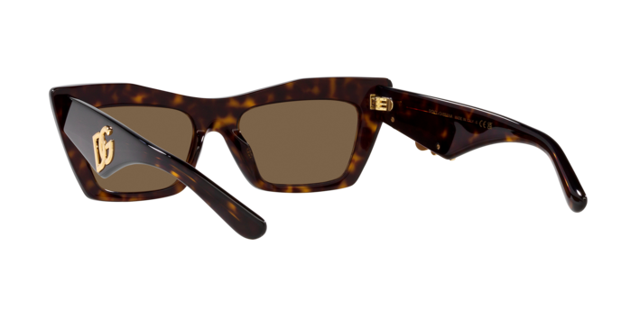Dolce & Gabbana Sunglasses DG4435 502/73