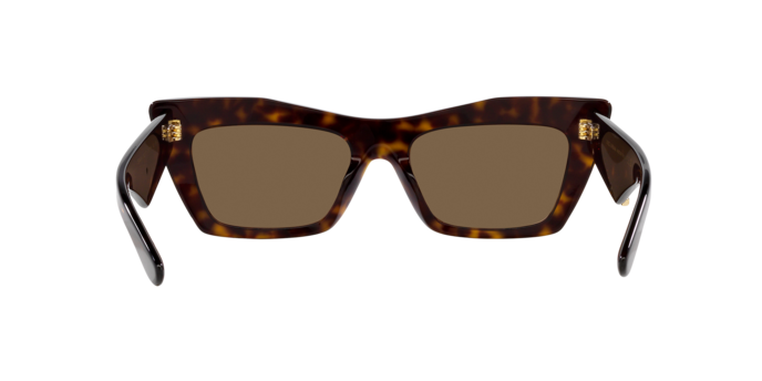 Dolce & Gabbana Sunglasses DG4435 502/73