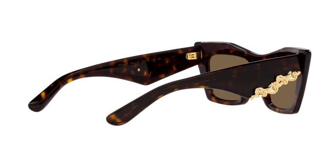 Dolce & Gabbana Sunglasses DG4435 502/73