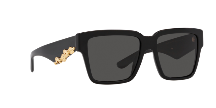 Dolce & Gabbana Sunglasses DG4436 501/87