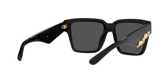 Dolce & Gabbana Sunglasses DG4436 501/87