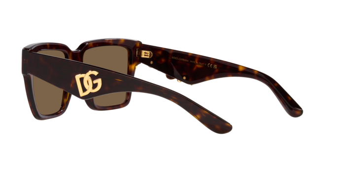 Dolce & Gabbana Sunglasses DG4436 502/73