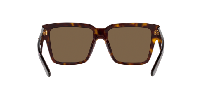 Dolce & Gabbana Sunglasses DG4436 502/73