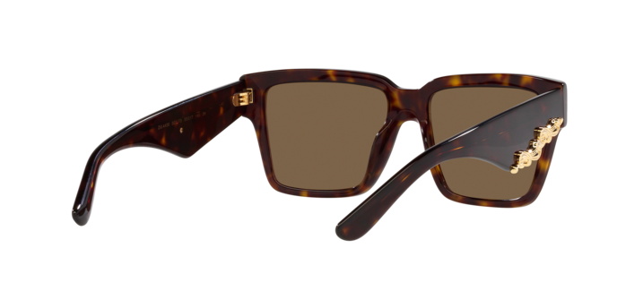 Dolce & Gabbana Sunglasses DG4436 502/73