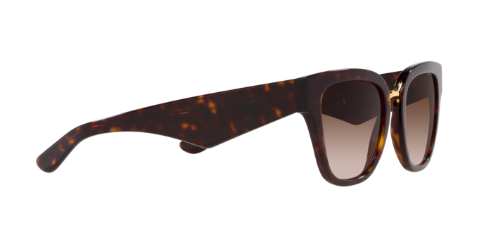 Dolce & Gabbana Sunglasses DG4437 502/13