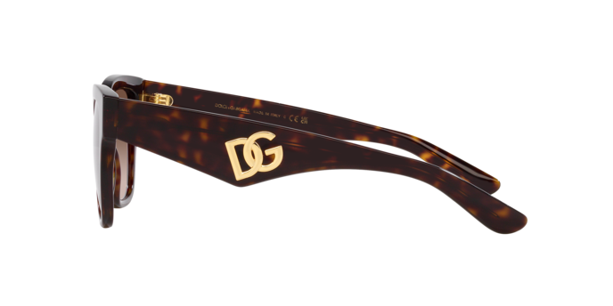 Dolce & Gabbana Sunglasses DG4437 502/13