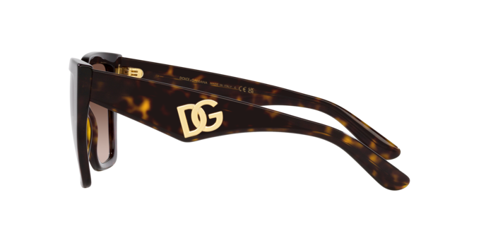 Dolce & Gabbana Sunglasses DG4438 502/13