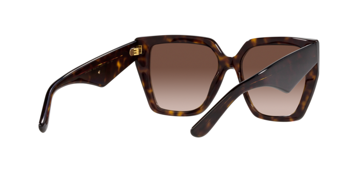 Dolce & Gabbana Sunglasses DG4438 502/13