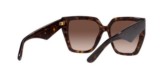 Dolce & Gabbana Sunglasses DG4438 502/13