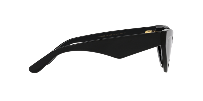 Dolce & Gabbana Sunglasses DG4439 501/87