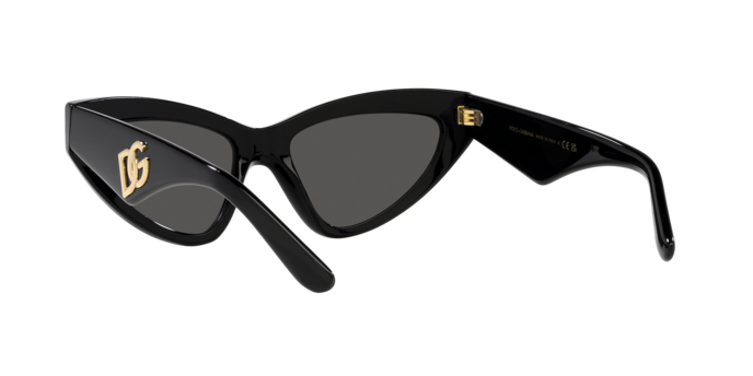 Dolce & Gabbana Sunglasses DG4439 501/87