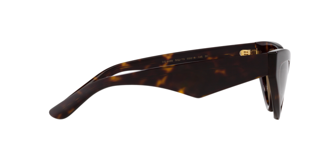 Dolce & Gabbana Sunglasses DG4439 502/73