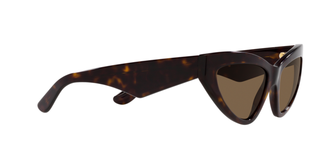 Dolce & Gabbana Sunglasses DG4439 502/73