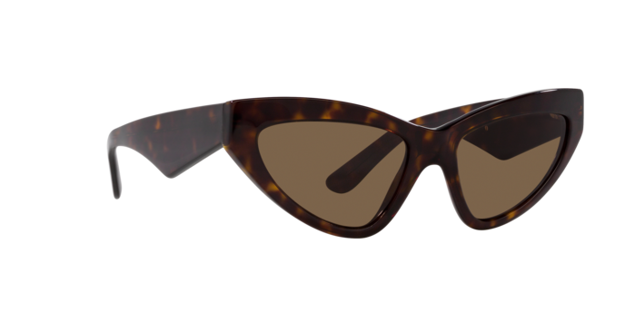 Dolce & Gabbana Sunglasses DG4439 502/73
