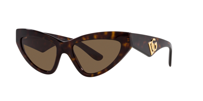 Dolce & Gabbana Sunglasses DG4439 502/73