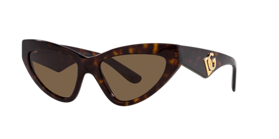 Dolce & Gabbana Sunglasses DG4439 502/73