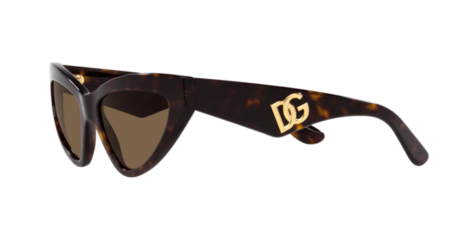 Dolce & Gabbana Sunglasses DG4439 502/73