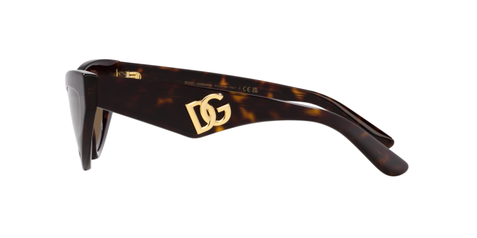 Dolce & Gabbana Sunglasses DG4439 502/73