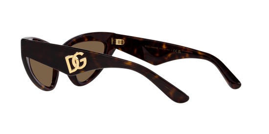 Dolce & Gabbana Sunglasses DG4439 502/73