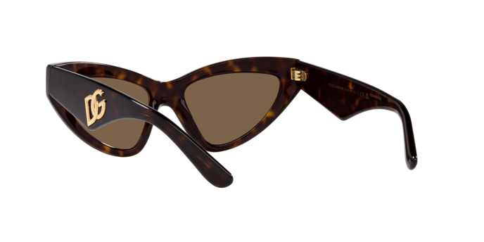 Dolce & Gabbana Sunglasses DG4439 502/73