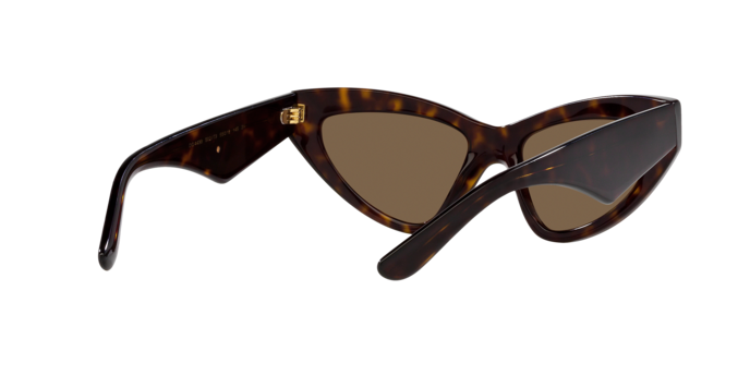 Dolce & Gabbana Sunglasses DG4439 502/73