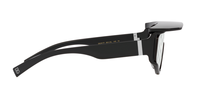 Dolce & Gabbana Sunglasses DG6177 501/AL